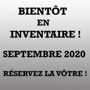 Aspen Trail 17 BH 2021-LM Cossette inc. vr roulotte fifth wheel caravane rv travel trailer - cherokee grey wolf pup kodiak aspen trail arctic wolf alpha wolf cub apex nano roulotte a vendre trois-rivières