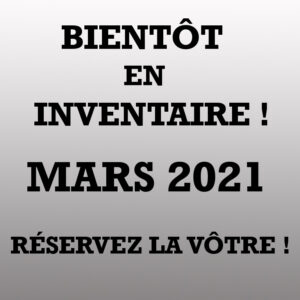 Apex 279 RLSS 2021-LM Cossette inc. vr roulotte fifth wheel caravane rv travel trailer - cherokee grey wolf pup kodiak aspen trail arctic wolf alpha wolf cub apex nano roulotte a vendre trois-rivières