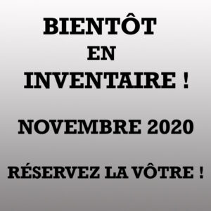 Apex 251 RBK 2021-LM Cossette inc. vr roulotte fifth wheel caravane rv travel trailer - cherokee grey wolf pup kodiak aspen trail arctic wolf alpha wolf cub apex nano roulotte a vendre trois-rivières